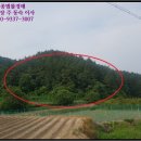 영천시신녕면부산보건진료소 이미지