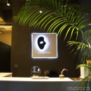 페르소나 피티 이미지