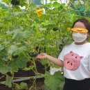 월성종합사회복지관 이미지