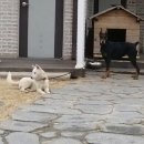 돌모로펜션 이미지