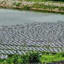 황금 태양광발전소 이미지