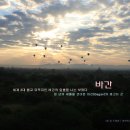 한길BIKE | (알 럽 트래블 / 미얀마) 천년의 세월을 견뎌온 2.227개의 파고다 <바간>