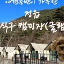 초롱애견 이미지