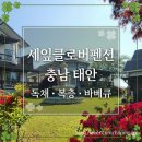 [충남 태안] 세잎클로버펜션 라벤다(복층) 독채펜션 후기