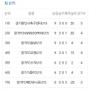 용인레이번스축구단 이미지