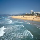 시커먼스 이미지