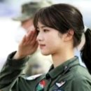 야단법석 이미지