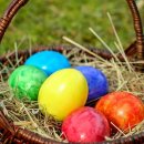 부산온누리행정사무소 이미지