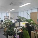 세무회계든든 - 화성시 동탄순환대로 830 | 세무회계든든
