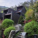 포레스트 리솜 이미지