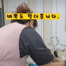 로댕 펫 살롱 이미지