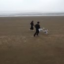 아리위드 이미지