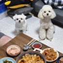 타타스 이미지