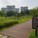 초평초등학교 | [진천군 여행지] 진천 혁신도시 무궁화 동산 (in 두레봉 공원)