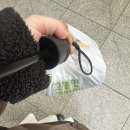 고봉민김밥인강남아르누보