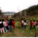 신암초교 병설유치원 이미지