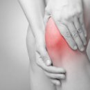 바디모어핏 이미지