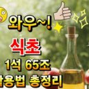 식초 1석 65조 활용법 총정리 이미지