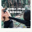 느티골길 네이버블로그