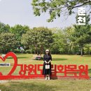 강원도립화목원 | 강원도 춘천 가볼만한곳 강원도립 화목원 병꽃 불두화 봄꽃구경