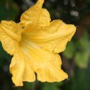 가산농장 이미지