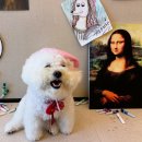 경기도 수원시 장안구 하률로12번길 이미지