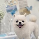와르아르 네이버블로그