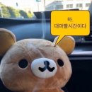 라이징 썬 이미지