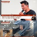 댕댕플래닛 | 배변 봉투에 스팸, 잇단 논란에도 &#39;침묵&#39; 갑질 잡플래닛 보듬컴퍼니 거지들 댕댕 트레킹 하이원리조트