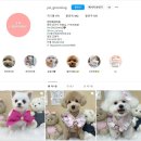 야옹아멍멍해봐(원성점) | 천안강아지분양 신중하고 믿을만한 곳에서 야옹아멍멍해봐 원성점