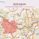 마이펫택시 이미지