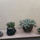 오정구청 이미지