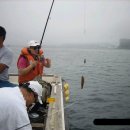 난드르 통나무집 이미지