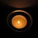 도연디엔피 이미지