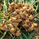 흥산농장 이미지