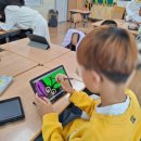 함평초등학교 | [현장 컨설팅] 함평초등학교 | 학교 벽화 그리기 컨설팅