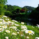 코너엔커피 이미지