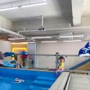 흰고래 | [공지] 대구 어린이 수영장 흰고래워터룸