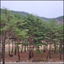 정선파인케어빌 이미지