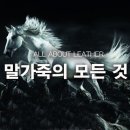 프론트쿼터 / 코도반 / 포니 / A-2 / 라이더 자켓 / 비즈빔 자켓 / HUNGOO / 스펙테이터 / 디아프바인 )