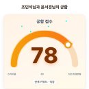 해래나 | 회사 사수랑 궁합 78점 나온 29 미혼 직장인 후기
