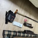 올인듀스 | 요즘 인기인 올인토네이도 파크골프채 구매했어요(찐 내돈내산)