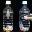 기장수산물체험홍보센터 이미지