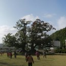 이서중학교 이미지