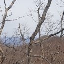 변천경로당 이미지