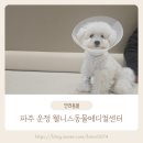 스타메디컬 | 파주 운정 동물병원 웰니스동물메디컬센터 암컷 강아지중성화수술 저렴한 할인 비용 후기