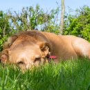 사랑해요동물병원 이미지