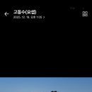 영진목장 Daum카페