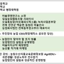 주식회사오설록티뮤지엄 네이버블로그