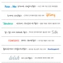 리에스테틱 이미지